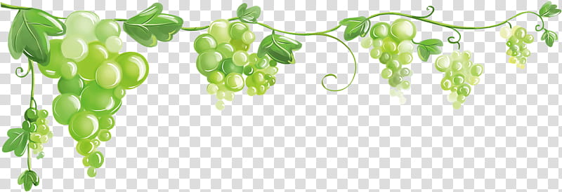 Family Tree Drawing, Common Grape Vine, Red Wine, Grape Leaves, Cartoon, Green, Plant Stem, Grass transparent background PNG clipart