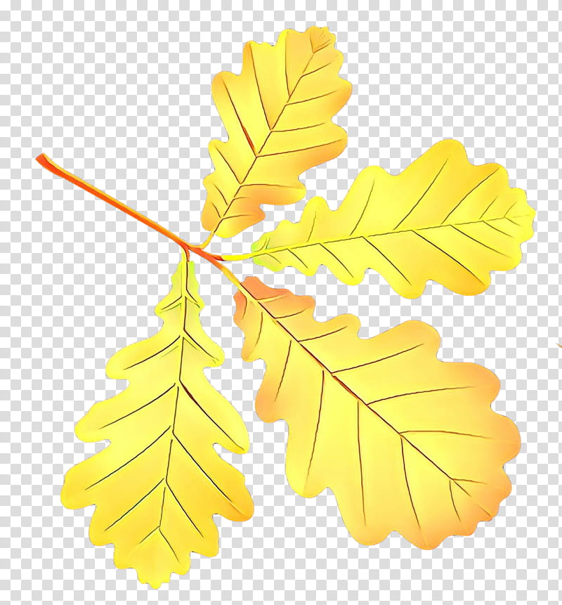 Maple leaf, Tree, Yellow, Plant, Flower, Woody Plant, Twig, Branch transparent background PNG clipart