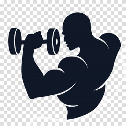 Exercise PNG Image