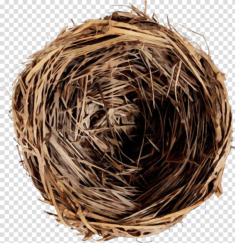Straw, Watercolor, Paint, Wet Ink, Bird Nest, Nestm, Twig transparent background PNG clipart