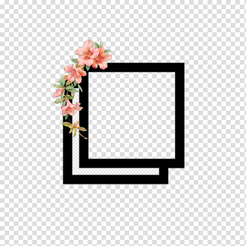 Flower Background Frame, Video, 2018, Instagram, Television Show, Editing, Film Frame, Drawing transparent background PNG clipart