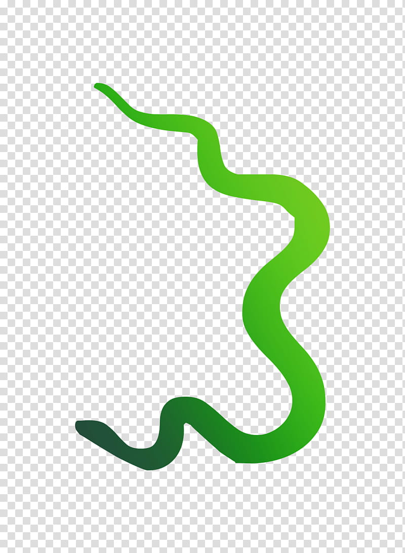 Logo, Line, Green, Snake, Reptile, Scaled Reptile, Smooth Greensnake transparent background PNG clipart