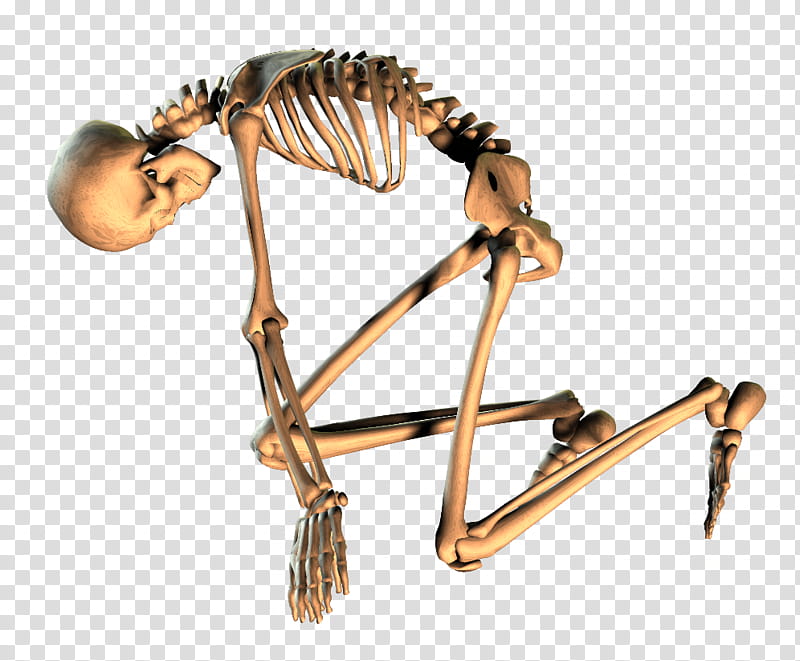 Skeleton , human skeleton bend knee transparent background PNG clipart