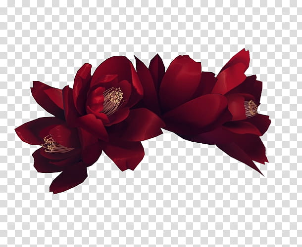 Flowers, red petaled flowers transparent background PNG clipart