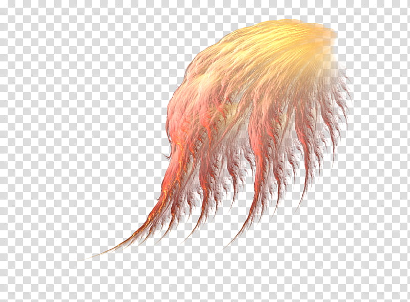 Fluffy wings transparent background PNG clipart
