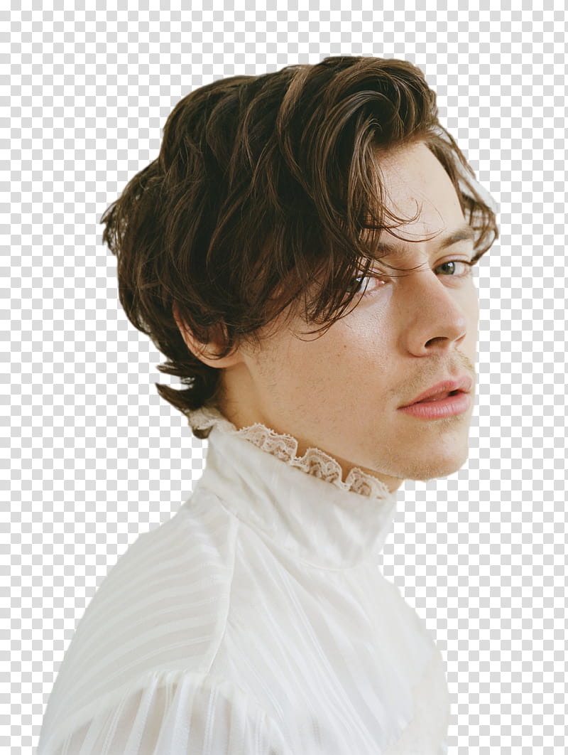 Harry Styles DulceEditions transparent background PNG clipart