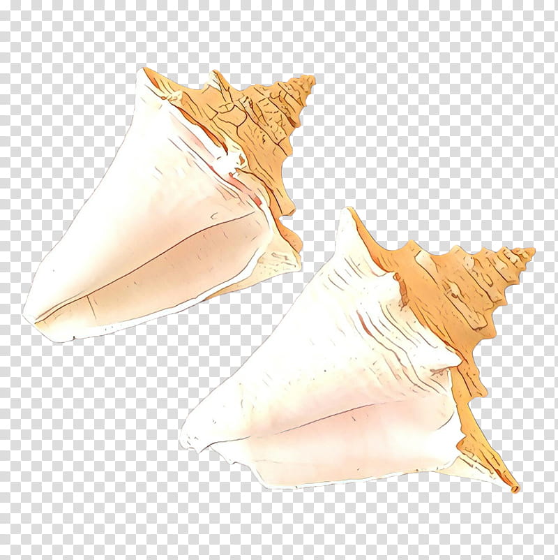 Seashell Conch, Hand, Shankha, Drawing transparent background PNG clipart