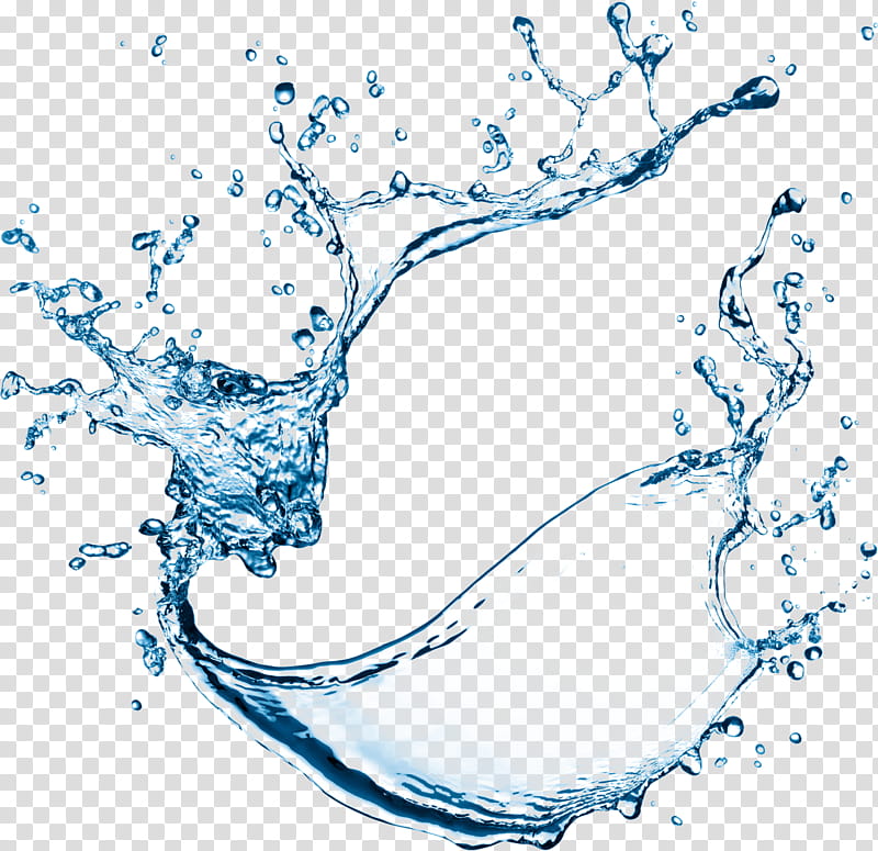 Wave, Water, Sticker, Water Bottles, Tree, Branch, Line, Black And White transparent background PNG clipart
