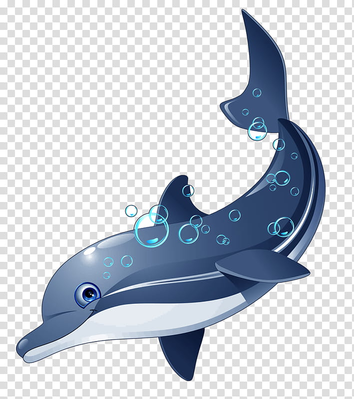 Learn How to Draw a Dolphin - Easy Drawing Tutorial for Kids | TikTok