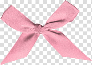 Rositas  ZIP, pink bow transparent background PNG clipart