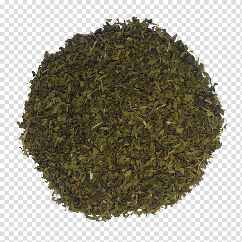 Nilgiri Tea Plant, Assam Tea transparent background PNG clipart