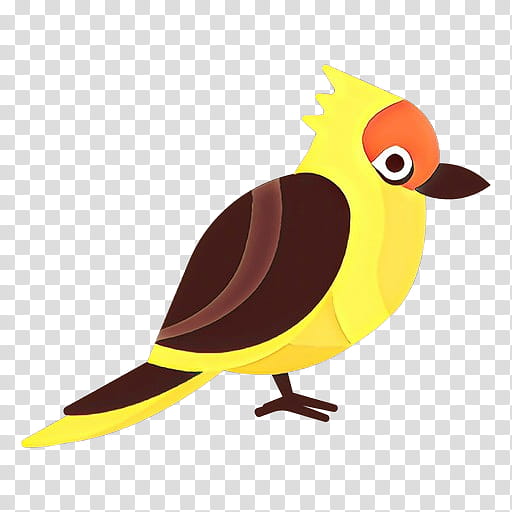 bird cartoon beak yellow songbird, Finch, Perching Bird, Old World Flycatcher transparent background PNG clipart