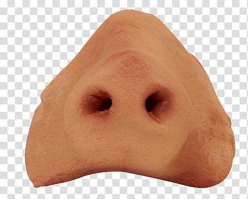 Pig Nose, brown nose illustration transparent background PNG clipart