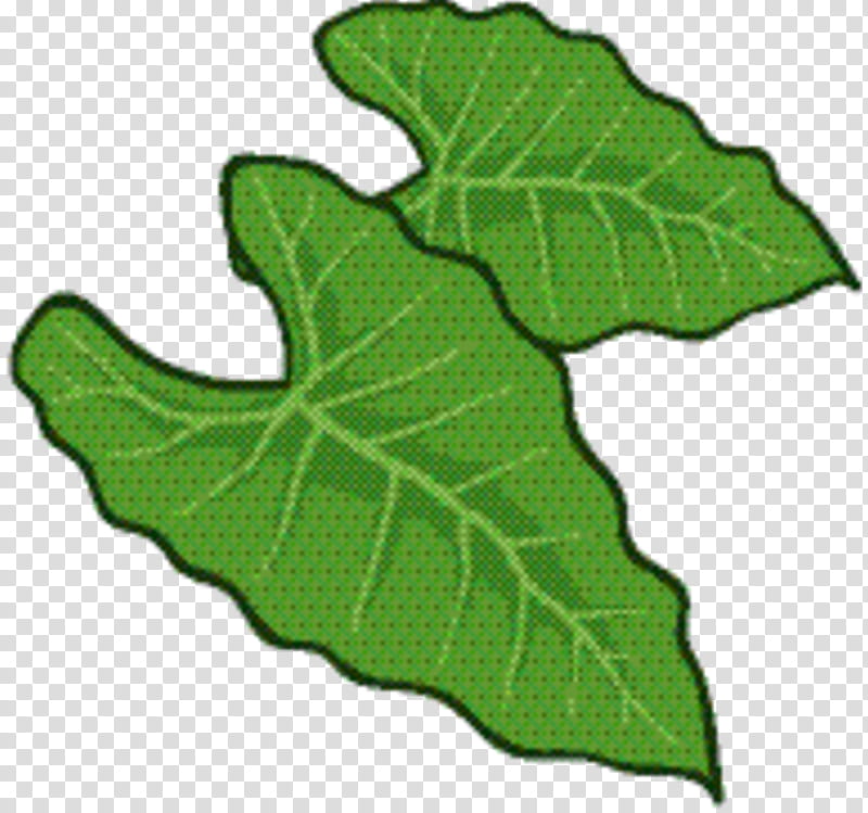 Green Leaf, Plant Stem, Tree, Plants, Flower, Botany, Ivy, Plane transparent background PNG clipart