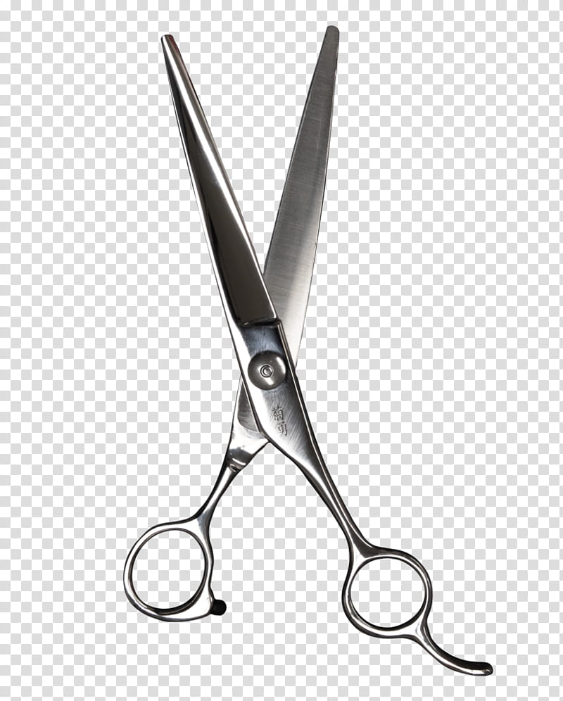 scissors cutting tool hair shear surgical instrument office supplies, Hair Care, Office Instrument, Metal transparent background PNG clipart