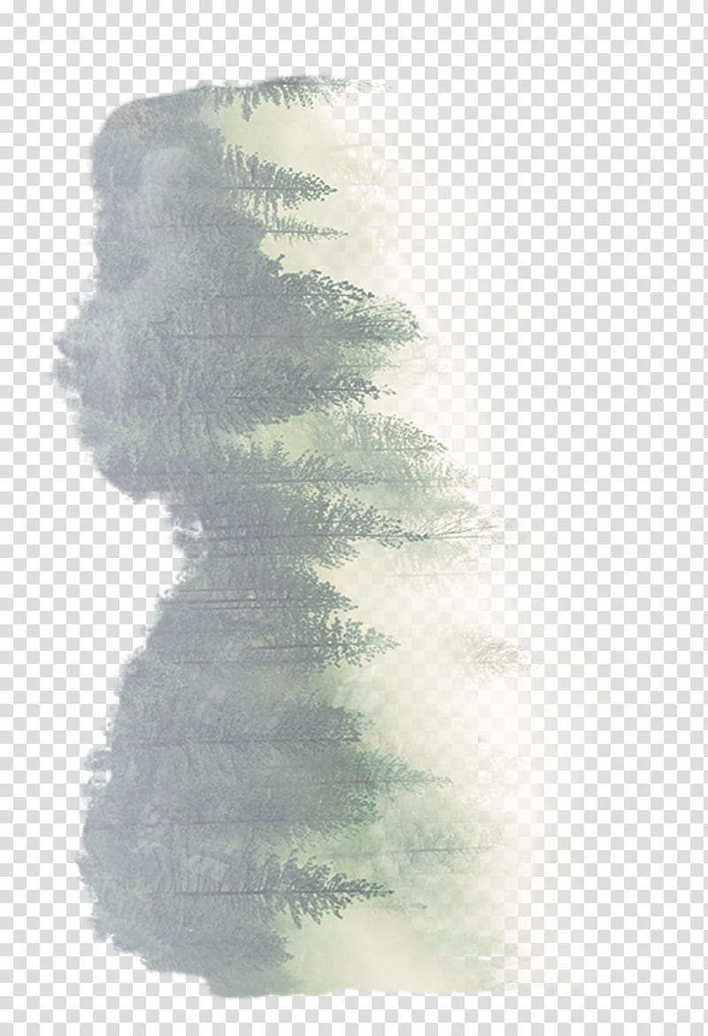Painting, Becoming, Paperback, Author, Tree, Kevin Kerr, Sky, Mist transparent background PNG clipart