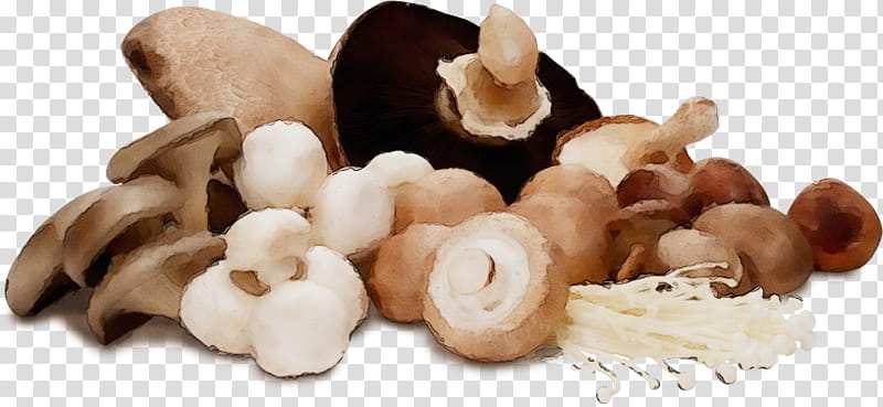 champignon mushroom mushroom ingredient shiitake agaricus, Watercolor, Paint, Wet Ink, Hazelnut, Pleurotus Eryngii, Food, Edible Mushroom transparent background PNG clipart