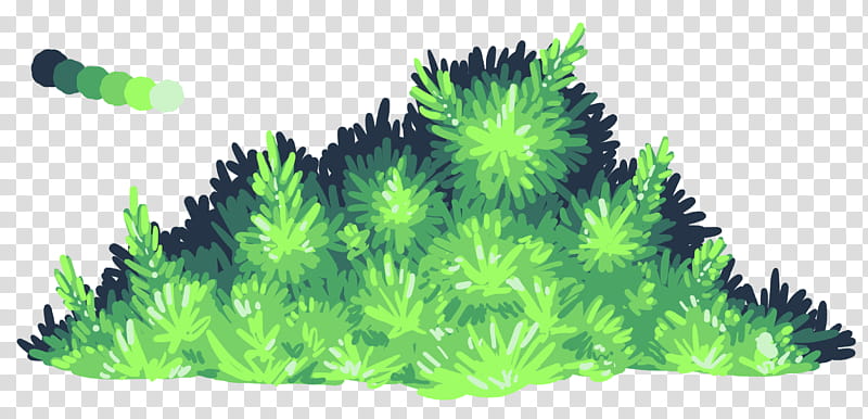 Free to Use Generic Bush transparent background PNG clipart