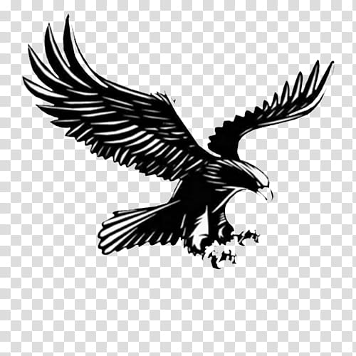 Eagle logo Royalty Free Vector Image - VectorStock