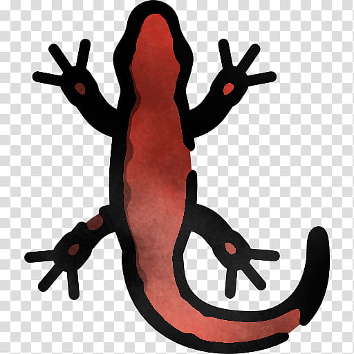 gecko frog true salamanders and newts transparent background PNG clipart