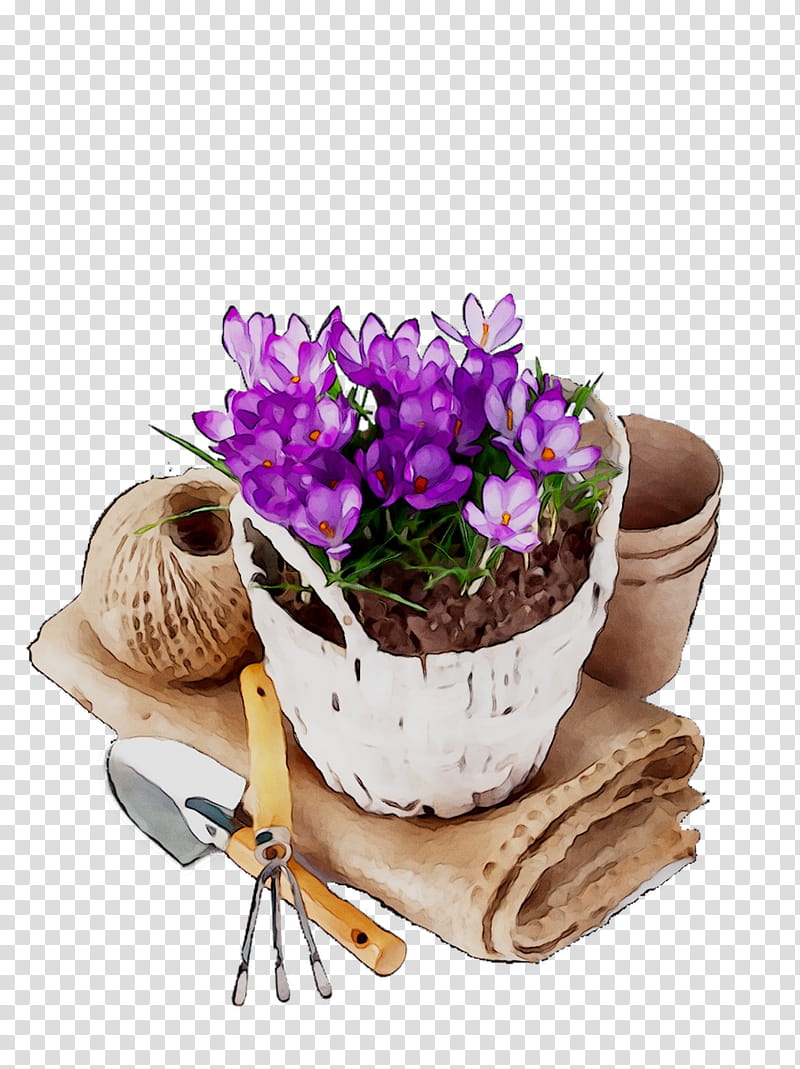 Flowers, Cut Flowers, Flowerpot, Artificial Flower, Purple, Plants, Violet, Crocus transparent background PNG clipart