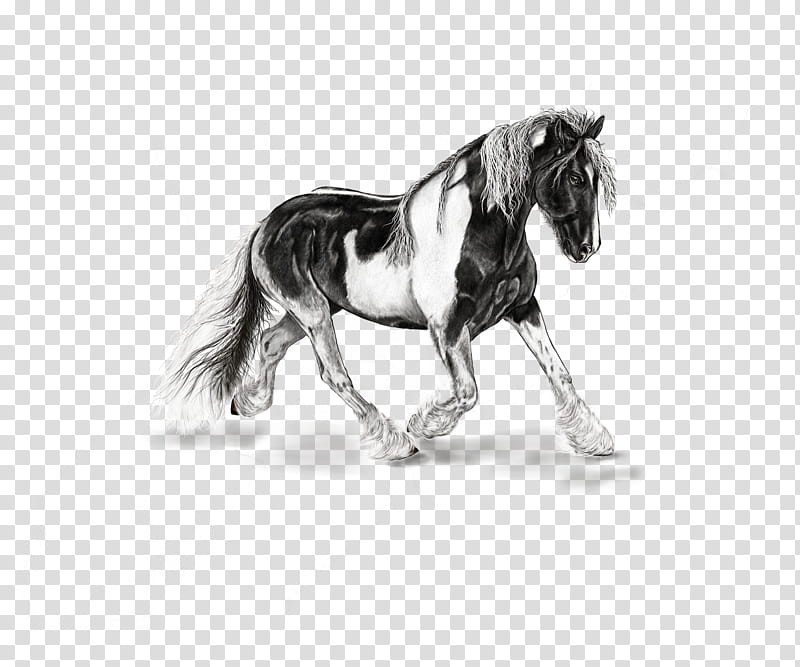 Watercolor Animal, American Paint Horse, Mustang, Stallion, Pony, Shetland Pony, Arabian Horse, Gypsy Horse transparent background PNG clipart