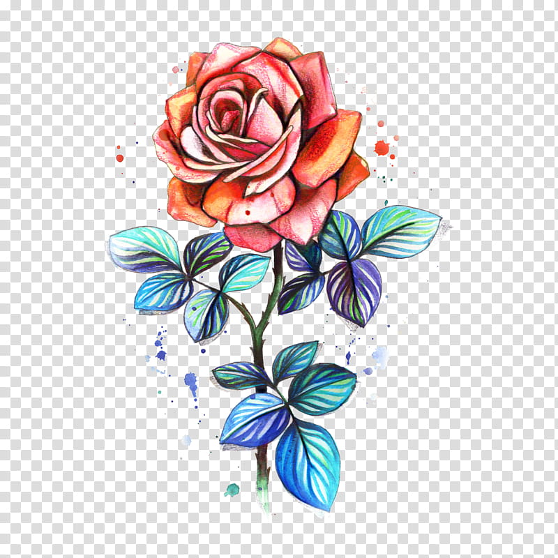 Flower Art Watercolor, Tattoo, Floral Design, Watercolor Painting, Drawing, Garden Roses, Sticker, Ink transparent background PNG clipart