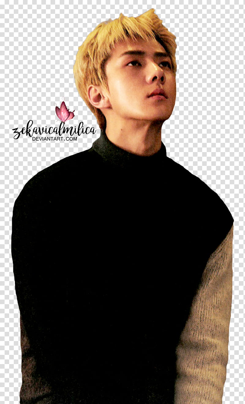 EXO Sehun For Life, man looking up wards transparent background PNG clipart