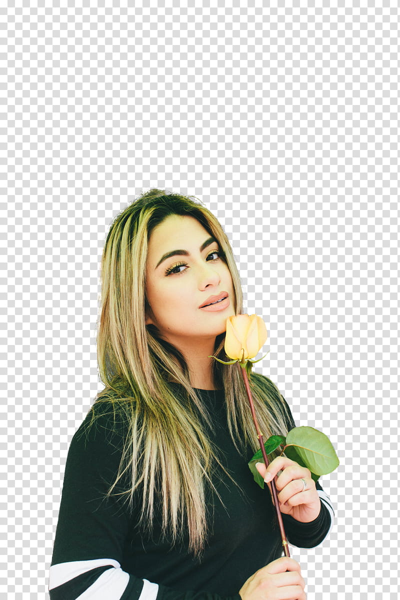 ALLY BROOKE transparent background PNG clipart