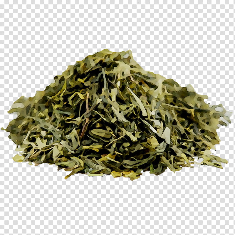 Golden, Nilgiri Tea, Golden Monkey Tea, Bancha, Gyokuro, Sencha, Romeritos, Audi Q7 transparent background PNG clipart