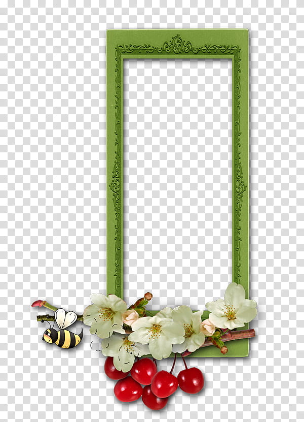 Flower Background Frame, Frames, graphic Film, Text, Decor, Petal, Floral Design transparent background PNG clipart