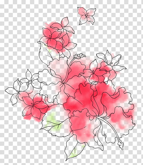 Flores ByunCamis, pink Hibiscus flowers illustration transparent background PNG clipart