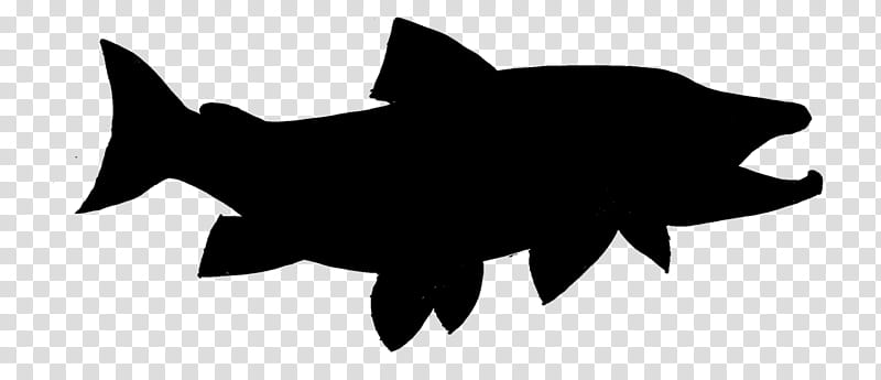 Shark Fin, Silhouette, Black M, Fish, Bonyfish, Tail transparent background PNG clipart