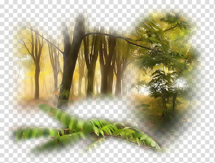 Summer Nature, Painting, Season, Autumn, Summer
, 2018, Landscape Painting, Spring transparent background PNG clipart
