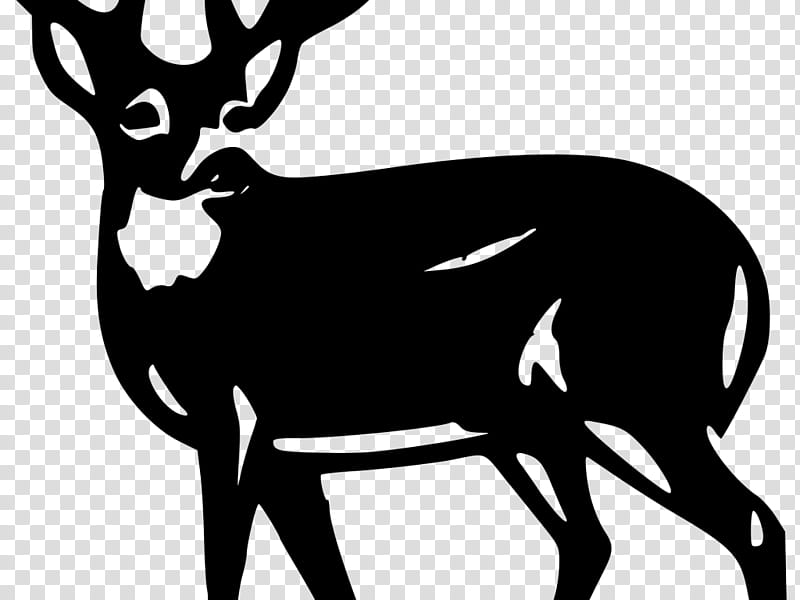 Book Silhouette, Deer, Whitetailed Deer, Mule Deer, Red Deer, Moose, Water Deer, Hunting transparent background PNG clipart