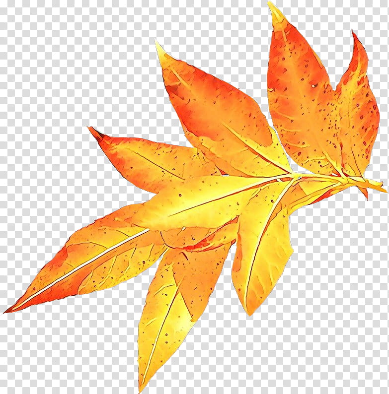 Autumn Leaf Drawing, Autumn Leaf Color, Season, Abscission, Maple Leaf, Watercolor Painting, Tree, Plant transparent background PNG clipart