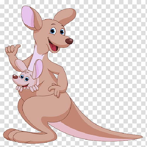 kangaroo macropodidae kangaroo cartoon animal figure, Animation, Red Kangaroo transparent background PNG clipart