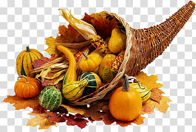 Autumn, assorted fruits transparent background PNG clipart