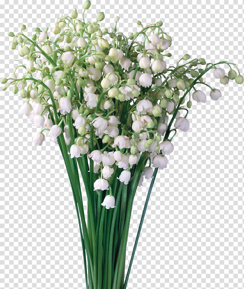Lily Flower, Lily Of The Valley, Animation, Cut Flowers, Plant, Bouquet, Artificial Flower, Vase transparent background PNG clipart