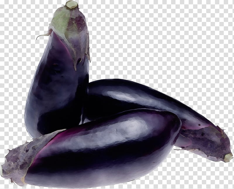 eggplant vegetable purple plant marine mammal, Watercolor, Paint, Wet Ink, Cetacea, Dolphin transparent background PNG clipart