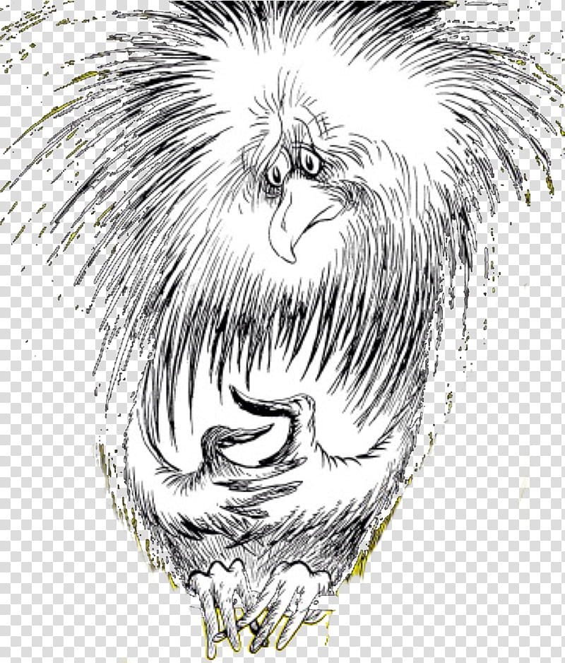 Bird Line Drawing, Scrambled Eggs Super, Whiskers, Lion, Owl, Line Art, Visual Arts, Cartoon transparent background PNG clipart