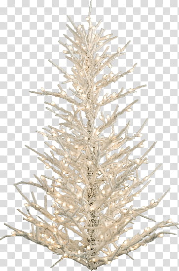 Christmas Tree, white tree transparent background PNG clipart