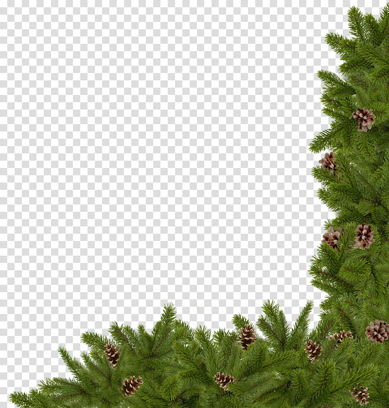 Christmas corners, green pine tree with pinecones transparent background PNG clipart