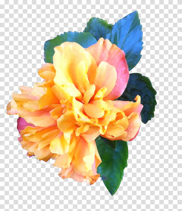 Watercolor Pink Flowers, Digital Art, Carnation, Floral Design, Cut Flowers, Manipulation, Plants, Peony transparent background PNG clipart