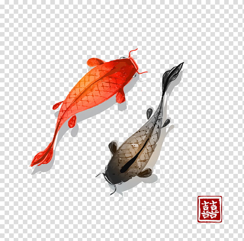 Fishing, Koi, Goldfish, Carp, Drawing, Mobile Phones, Common Carp, Fishing Bait transparent background PNG clipart