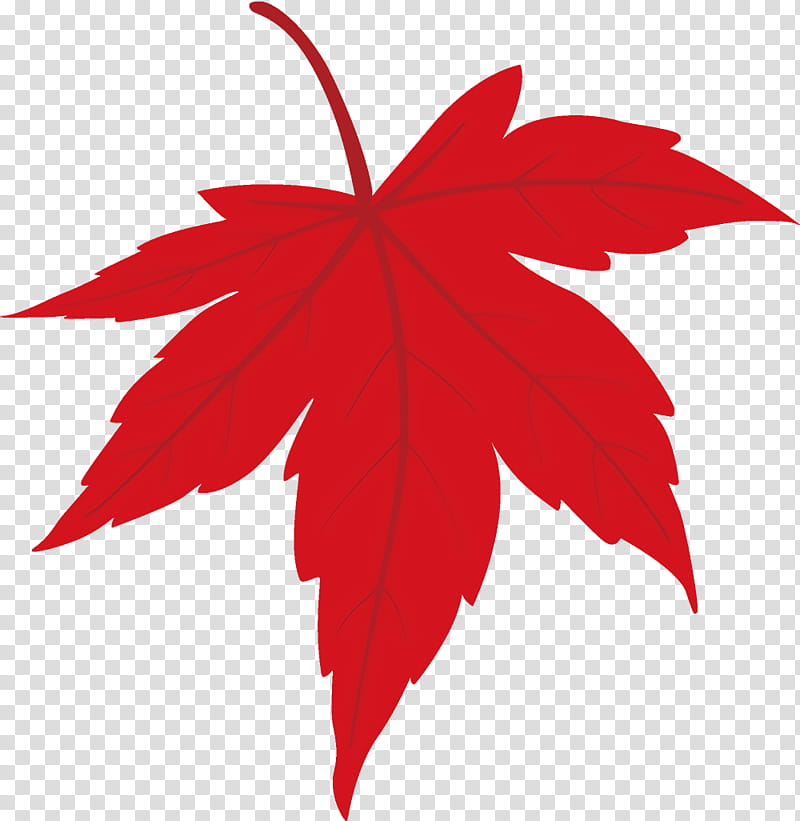 maple leaf fallen leaf dead leaf, Autumn Leaf, Red, Tree, Plant, Woody Plant, Flower transparent background PNG clipart