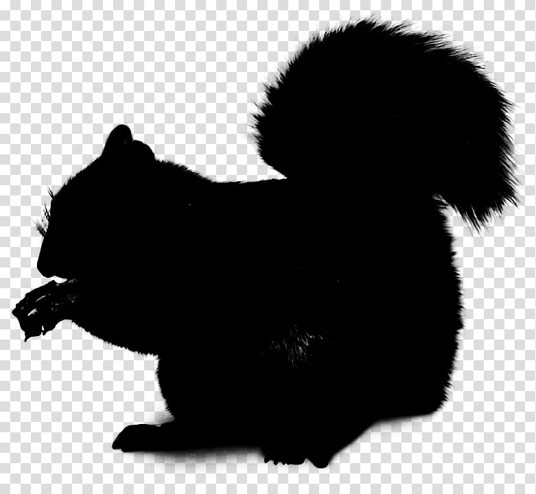Silhouette Tree, Schnoodle, Poodle, Whiskers, Fur, Tree Squirrels, Flying Squirrel, Fox transparent background PNG clipart