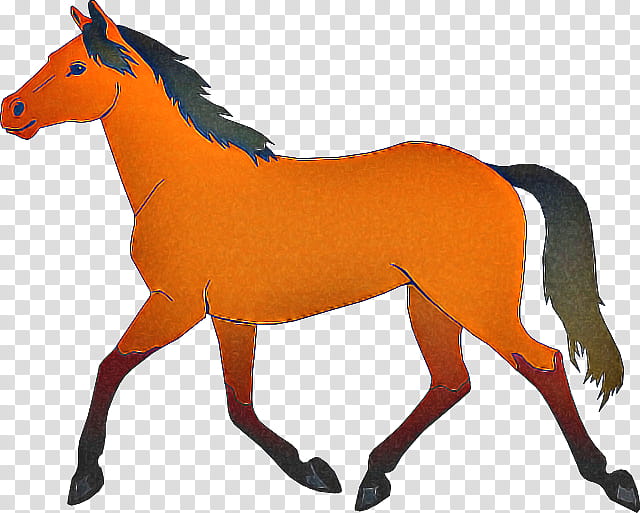Orange, Horse, Animal Figure, Mane, Sorrel, Mare, Foal transparent background PNG clipart