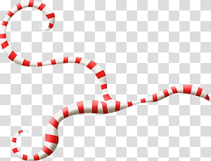 white and red striped snake transparent background PNG clipart