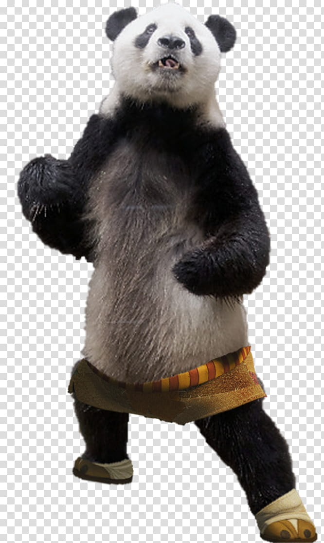 Po Kung Fu Panda transparent background PNG clipart
